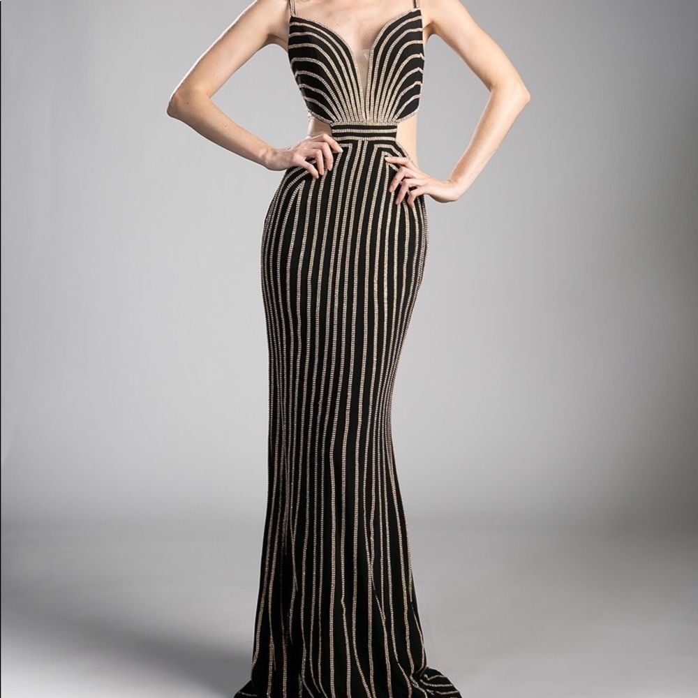 Cinderella divine formal dress